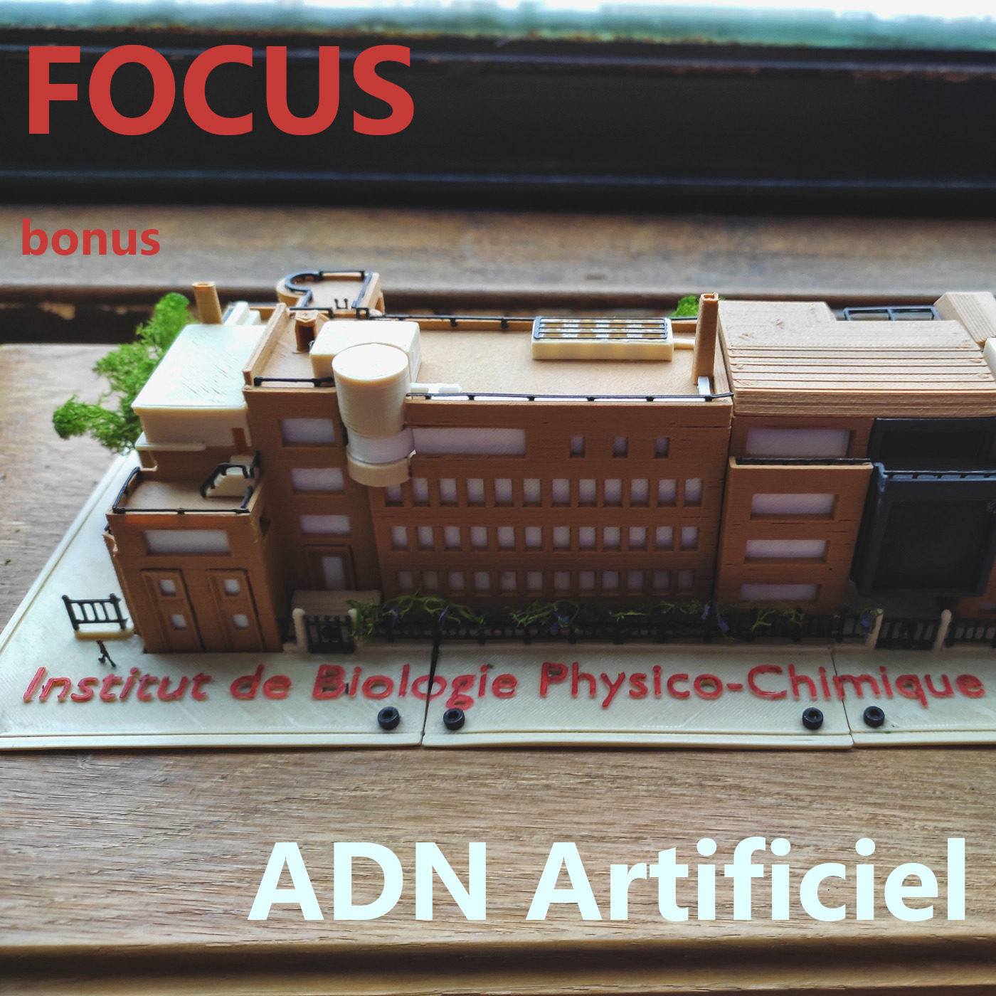 Focus : ADN artificiel 🧬 avec Marina Katava