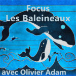 Focus : Le baleineau chante-t-il Ã  sa naissance ?ðŸ�‹ avec Olivier Adam