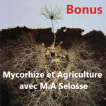 Bonus : Mycorhizes et Agriculture avec Marc-Andre Selosse